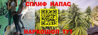 ГАЛЛЮЦИНОГЕННЫЕ ГРИБЫ Жуковский