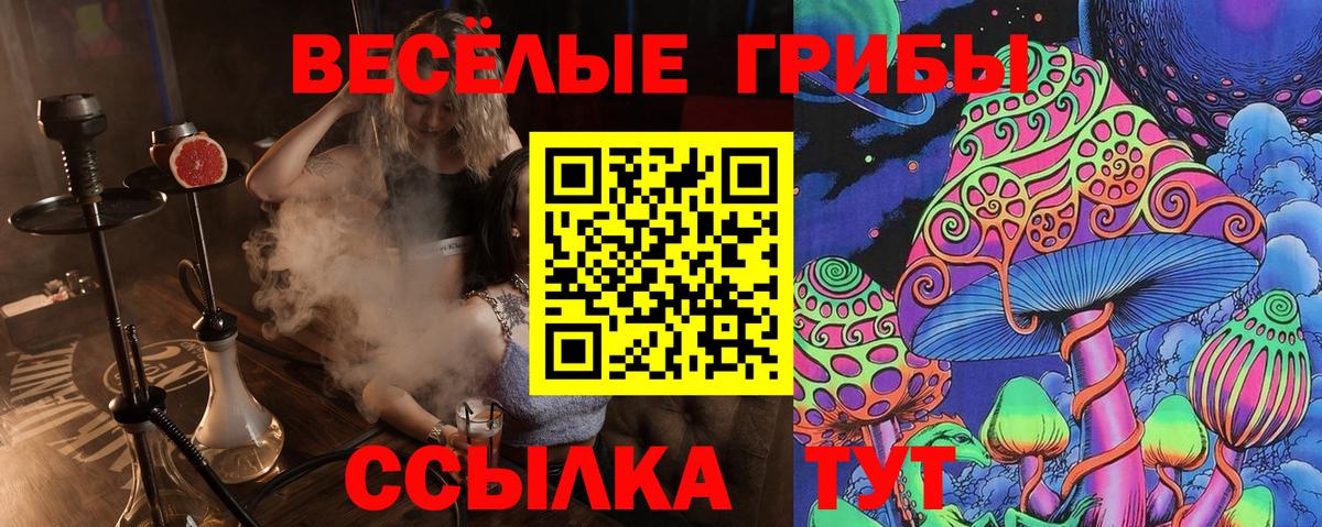 Галлюциногенные грибы Cubensis  Вход с VPN  Наро-Фоминск 